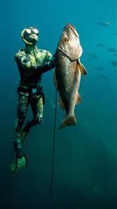 The great collection of deep sea fishing wallpaper for desktop, laptop and mobiles. Best Fishing Iphone Hd Wallpapers Ilikewallpaper