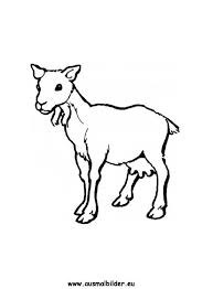 Malvorlagen kostenlos ausdrucken pdf herbst ausmalbilder herbstmotiv herbstlaub tiere. Pin Auf Ausmalbilder Tiere