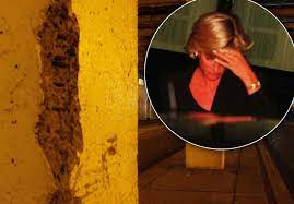 Check spelling or type a new query. Princess Diana The Battle To Exhume Her Body For Second Autopsy