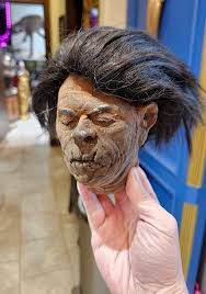 Image result for shrunken heads
