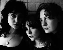 Interview: Folk Bitch Trio's Debut Delivers Gutsy Lyrics and Gorgeous  Harmonies