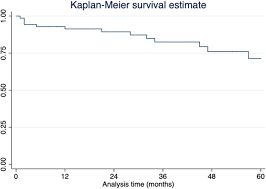 Fahrradausrüstung bis 15 % reduziert! Bell Bottom Technique In Iliac Branch Era Mid Term Single Stent Graft Performance Cvir Endovascular Full Text
