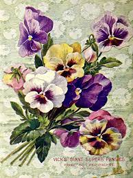 Ramo De Pensamientos Bouquet Of Pansies Vick S Garden Floral Guide 1903 In 2020 Pansies Pansies Flowers Flower Art