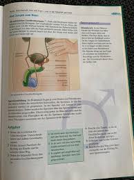 Was können sie über weibliche geschlechtsorgane dienen der fortpflanzung und dem lustempfinden. Aufgaben Realschule An Der Niers Mg Rheydt