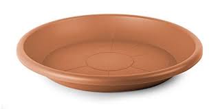 Adding them to your home lets you express your personality and style. Smart Planet High Quality Florina Plant Pot Saucer Round 14 Cm For Plant Pot With 15 Cm Diameter Terracotta Buy Online In Botswana At Botswana Desertcart Com Productid 78289396