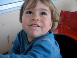 West highland white terrier growth stages