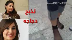 ‎صفحة ترفيهية مضحكة تشمل كل الأحداث‎ ØºØ±Ø§Ø¦Ø¨ Ùˆ Ø¹Ø¬Ø§Ø¦Ø¨ Ø¨Ù†Ø§Øª ØªØ°Ø¨Ø­ ØªØ­Ù…ÙŠÙ„ Ø§ØºØ§Ù†ÙŠ Ù…Ø¬Ø§Ù†Ø§