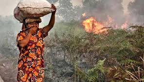 Dan namun dikarenakan hal tersebut pula, adanya kebakaran di hutan seringkali mengahmpiri negara indonesia, dan bahkan telah menjadi sebuah. Musim Kemarau Meluas Bmkg Waspada Potensi Kebakaran Hutan Dan Lahan