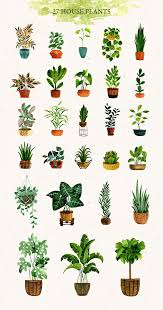 Houseplants Watercolor Set In 2020 Plant Painting Plant Art Plant Art Print