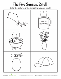 The Five Senses Smelling Worksheet Education Com Five Senses Worksheet Senses Preschool Five Senses Preschool