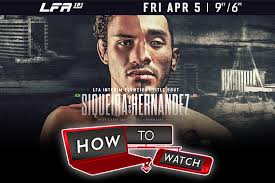 Wesley "Party Time" Schultz MMA Stats, Pictures, News, Videos, Biography