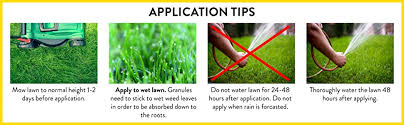 If the weather cooperates, rain can direct the weed and feed product into the soil and root system. Amazon Com Preen 2464089 Lawn Weed Control 10 Lb Covers 5 000 Sq Ft Weed Killers Garden Outdoor