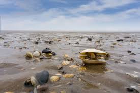 Otrzymaj 10.000 s stockowego materiału wideo wattenmeer bei sylt. 5 Tipps Fur Den Herbsturlaub Auf Sylt Ida Klein Sylt