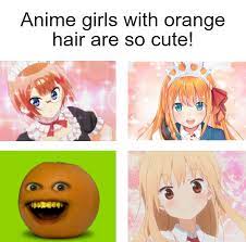 anime girls with orange hair are so cute : r/memes