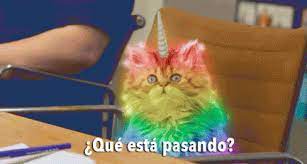 Cat Unicorn Gif Cat Unicorn Discover Share Gifs Unicorn Cat Cats Gif