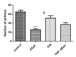 Image result for Pandiaka angustifolia