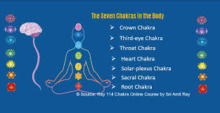 Chakra cosmetic products that will boost your energy with unique scents and original contents are waiting for you with 25 for a closer look at the cosmetic world of chakra, you can visit www.chakra.com.tr'yi. The 7 Chakras In The Body A Beginner S Guide Amit Ray