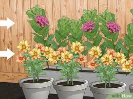 We did not find results for: How To Create A Butterfly Garden With Pictures Wikihow