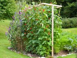 Handmade in the uk in luxury hardwearing fabric that is soft but water resistant. Supports For Climbing Beans And Peas Vertical Vegetable Gardens Vertical Garden Outdoor Gardens