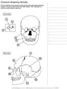 Check spelling or type a new query. Coloring Pages And Worksheets Ask A Biologist