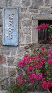 matsu taiwan 馬祖北竿芹璧村 taiwan island plants