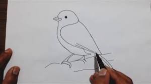 We did not find results for: How To Draw A Bird How To Draw A Sparrow In Easy Way Youtube
