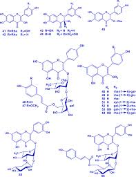 Image result for Gouania tiliifolia