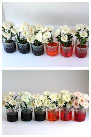 The flowers have changed the color. Simple Science For Kids Color Changing Flowers