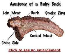 What organ is under your left lower rib cage on your left side close to your back? Pork Cuts Explained