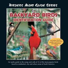 John Grout Backyard Birds Identification Guide Amazon