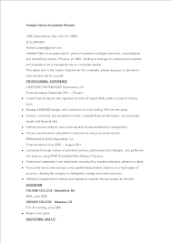 20+ senior accountant resume samples to customize for your own use. Telecharger Gratuit Sample Senior Accountant Resume