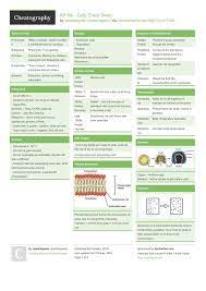 Ap Bio Cells Cheat Sheet By Isabellagates Http Www Cheatography Com Isabellagates Cheat Sheets Ap Bio Cell Cell Biology Notes Biology Lessons Biology Notes