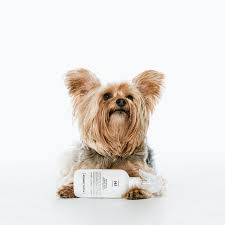Coco S Blend No 4 Rescue Relief Spray Dog Shampoo For Itchy Skin