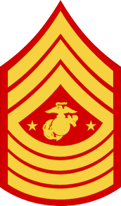 The rank indicator hud glyph was eight dots, arranged in two parallel horizontal lines of four. Private Rank Military Wiki Fandom