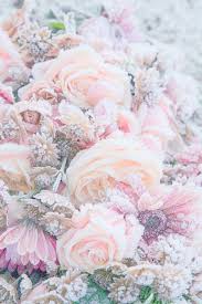 Frozen Flowers Phone Wallpapers Tumblr Tumblr Wallpaper Flower Wallpaper