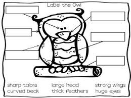The Groovy Teacher Going Owling Owl Activities Owls Kindergarten Owls Lessons