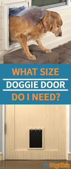 Dog Door Sizes How Do You Know Which Is The Right Option