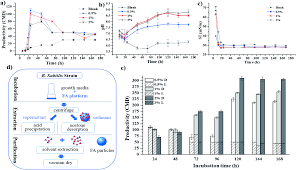 Fly Ash Based Robust Biocatalyst Generation A Sustainable