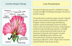 Isilah tabel berikut berdasarkan hasil percobaan! Soal Kunci Jawaban Tema 1 Kelas 6 Halaman 2 4 6 13 14 Pembelajaran 1 Subtema 1 Tumbuhan Sahabatku Laman 6 Dari 15 Semangat News