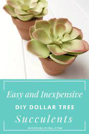 Beautiful succulent wall planter that is my version of pottery barns succulent wall frames. Easy And Inexpensive Diy Dollar Tree Succulents Miss Sue Living