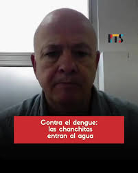 En el programa Buena Mañana, conversamos con Pablo Collins, investigador  del #CONICET, El incremento de los casos de dengue en la provincia de  #SantaFe es también una oportunidad para analizar otros ...