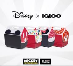 four special edition igloo x disney coolers celebrate mickey