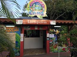 Piscine Avec 4 Acces Tobboggans 3 Sensations Differentes Picture Of Karukera Land Sainte Anne Tripadvisor