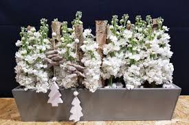 Un des meilleurs ouvriers de france (shortened to mof) is a craftsmen competition in france, held every four years. Noel Les Conseils D Un Fleuriste Meilleur Ouvrier De France Pour Votre Table De Reveillon