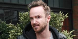 Aaron Pauls Hair Transplant