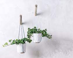 We supply screws and anchors for hard walls, if you're mounting on drywall make sure to secure them to studs. Hanging Planter With Natural Thread Wall Planter Indoor Plant Hanger E In 2021 Indoor Plant Hangers Indoor Plant Wall Hanging Plants Indoor