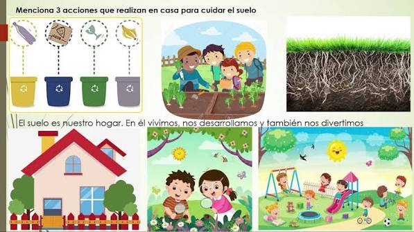 ACTIVIDAD 3 CONSERVACIÓN DEL SUELO