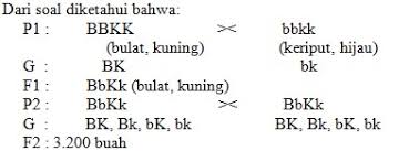 Bacalah setiap soal dengan teliti. 25 Soal Pola Hereditas Pilihan Ganda Dan Jawaban