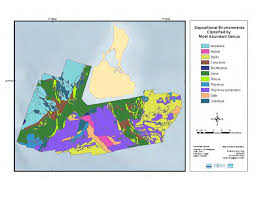 Genus-defined benthic geologic environment of BI. The depositional...