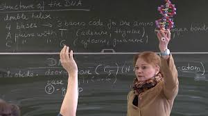 Her father was elected mayor of forchtenberg. Bilingualer Unterricht Am Hans Und Sophie Scholl Gymnasium Youtube